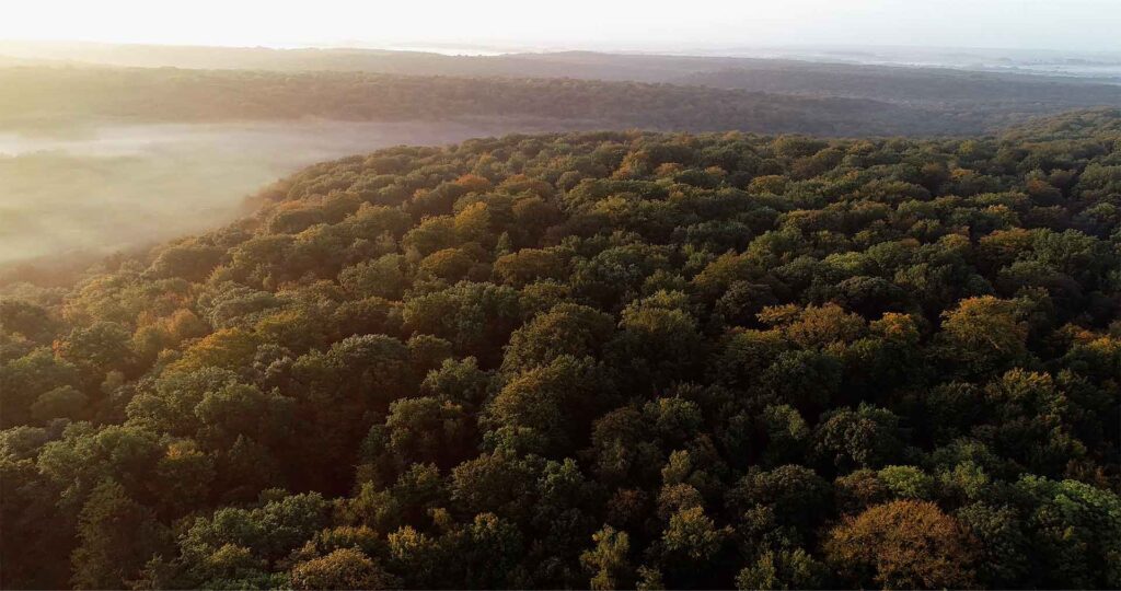 Aerial view of the forest of Saint-Michel in Thiérache