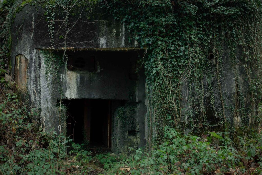 Blockhaus recouvert de végétation dans la forêt de Saint-Michel