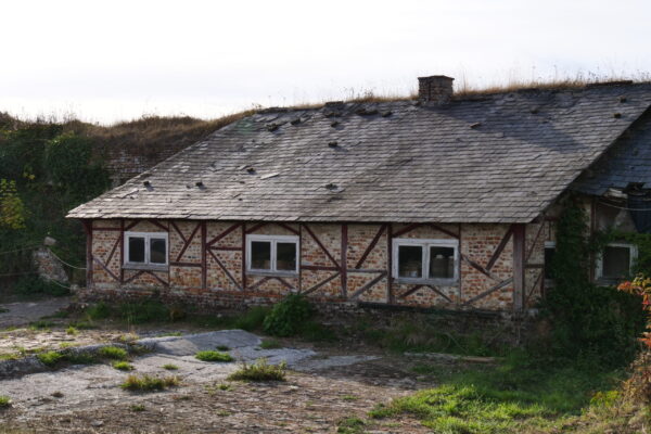 P1100504