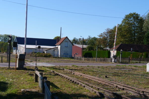 P1111577