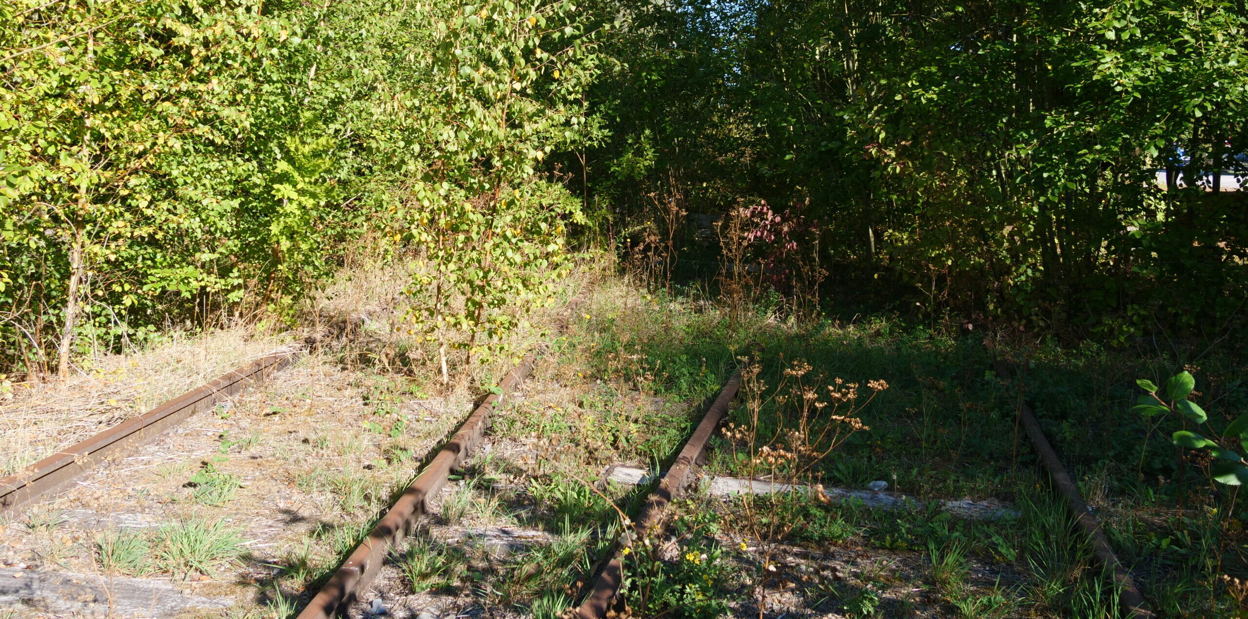Cinéma et ruralité : quand les territoires deviennent des personnages de cinéma