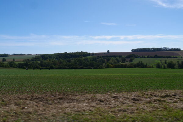 paysage